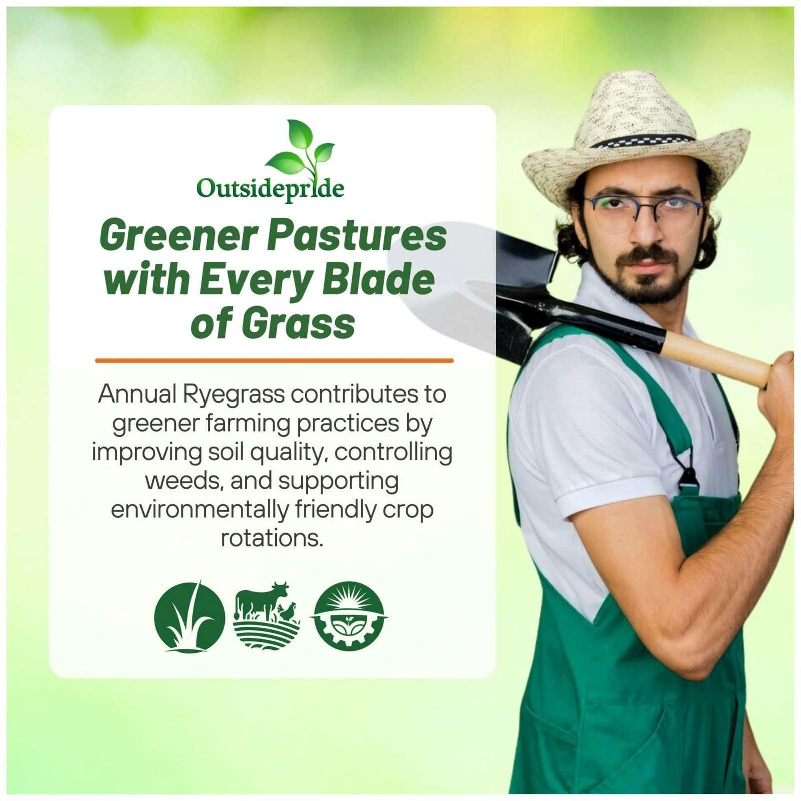 25 LBS Annual Ryegrass Seed – Cover Crop