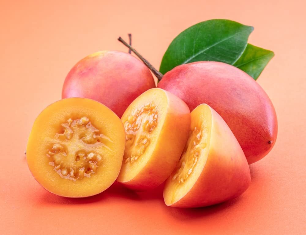Tree Tomato Seeds for Planting – 10 Rare Seeds – Tamarillo, Cyphomandra betacea
