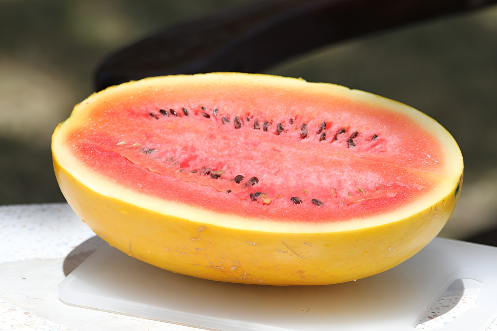 35 Organic Heirloom Golden Midget Watermelon Seeds – Fast Growing – Super Sweet!