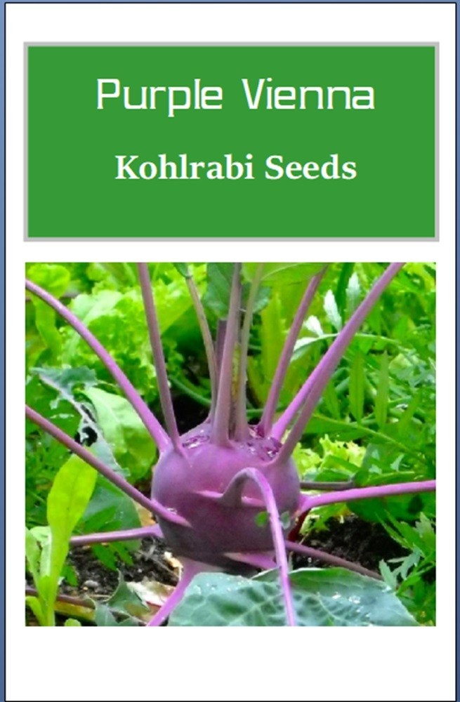 Purple Vienna Kohlrabi Seeds | NON-GMO | Heirloom | Fresh Garden Seeds