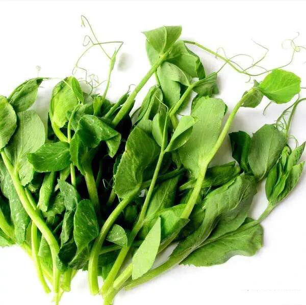 60+ Pea Seeds/ For Tasty Pea Shoots/ Leaf And Stem Edible豌豆苗 2023NEW!