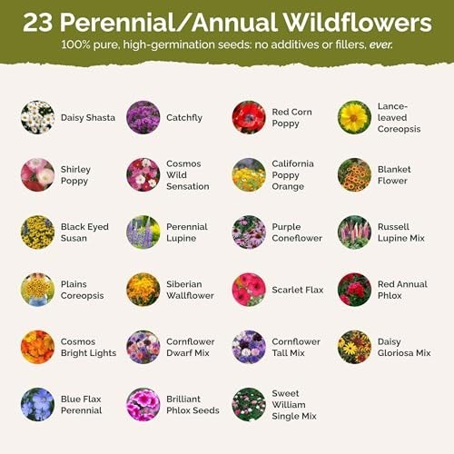 Northeast Wildflower Seed Mix – 1 lb, 480,000+ Seeds, Attracts Pollinators, Zone