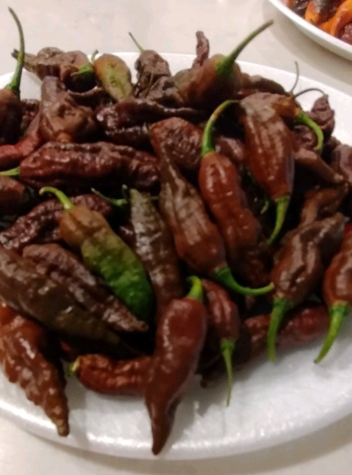 Chocolate Ghostly Jalapeno (20 Seeds) Super Hot, Free Shipping