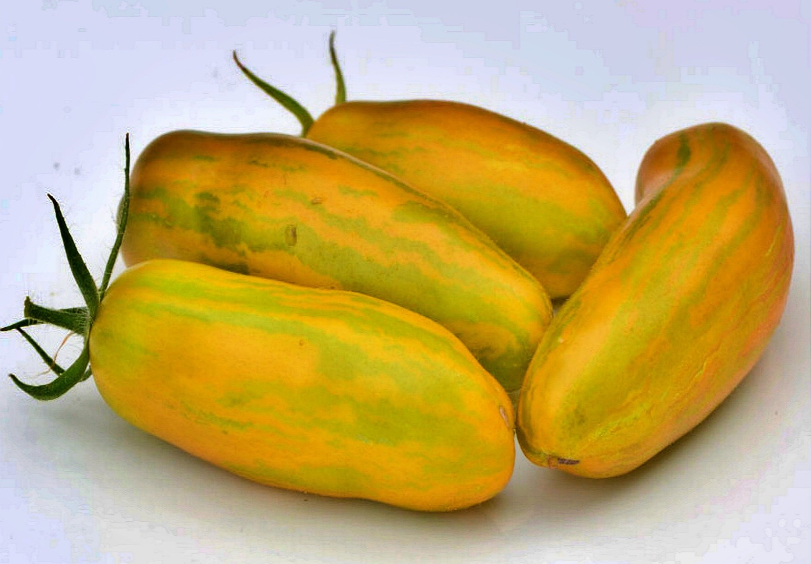 Green Sleeves, Tomato
