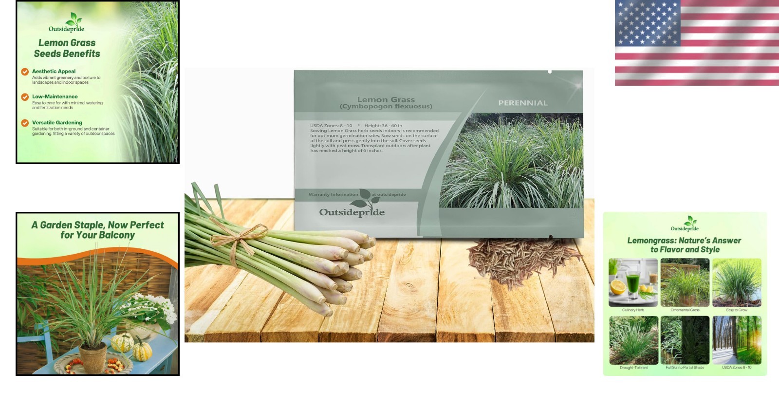 1000 Lemongrass Seeds – Multi-Purpose Herb for Culinary Use and Gardens
