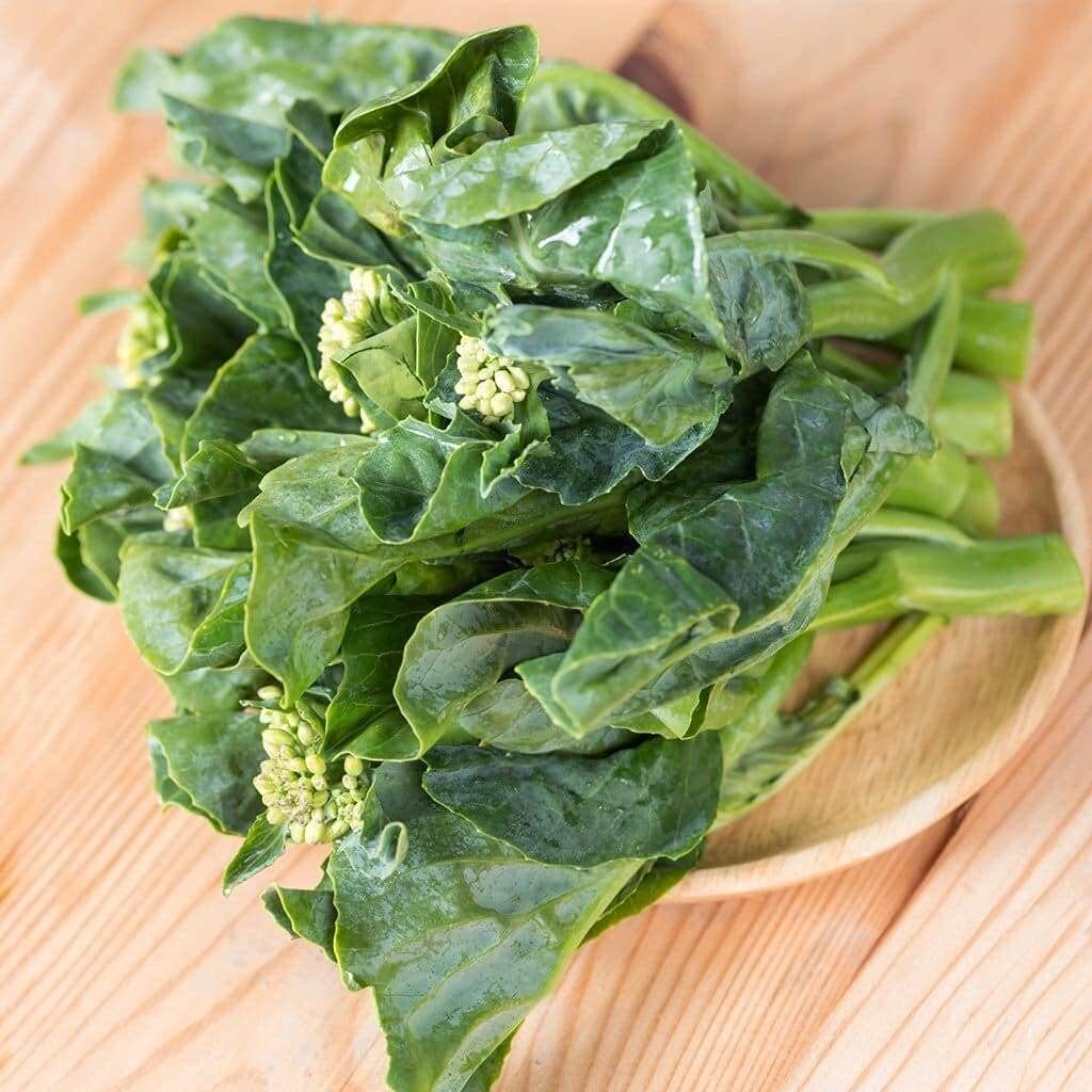 Cool Season 3oz of Pak choy, Chinese Broccoli & Michihili, Pak Choi Cabbage