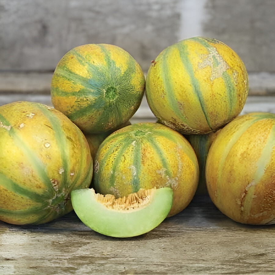 40 Israeli Ha’Ogen Melon Seeds! Exceptionally Sweet, Unique Flavor!