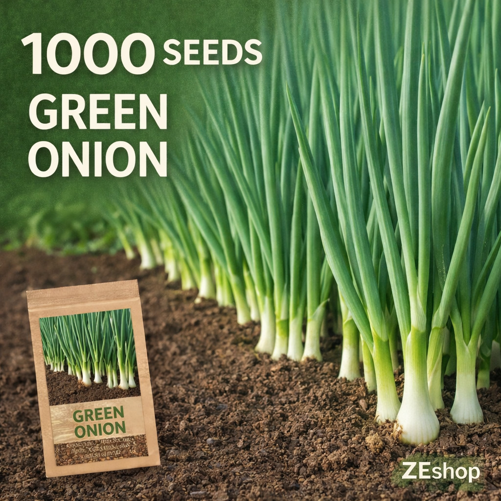 1000 Green Onion Seeds – Scallion Bunching Onion for Home Garden
