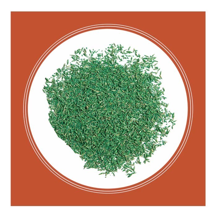 [FASH SALE] Pennington Smart Seed Bermuda Grass Seed 8.75 lb Bag for Lawns New