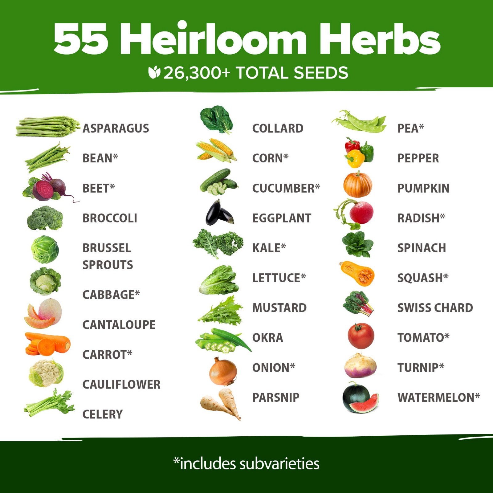 70 Variety Non-GMO Heirloom Vegetable & Herb Seeds Kit for Home Gardeners & Prep