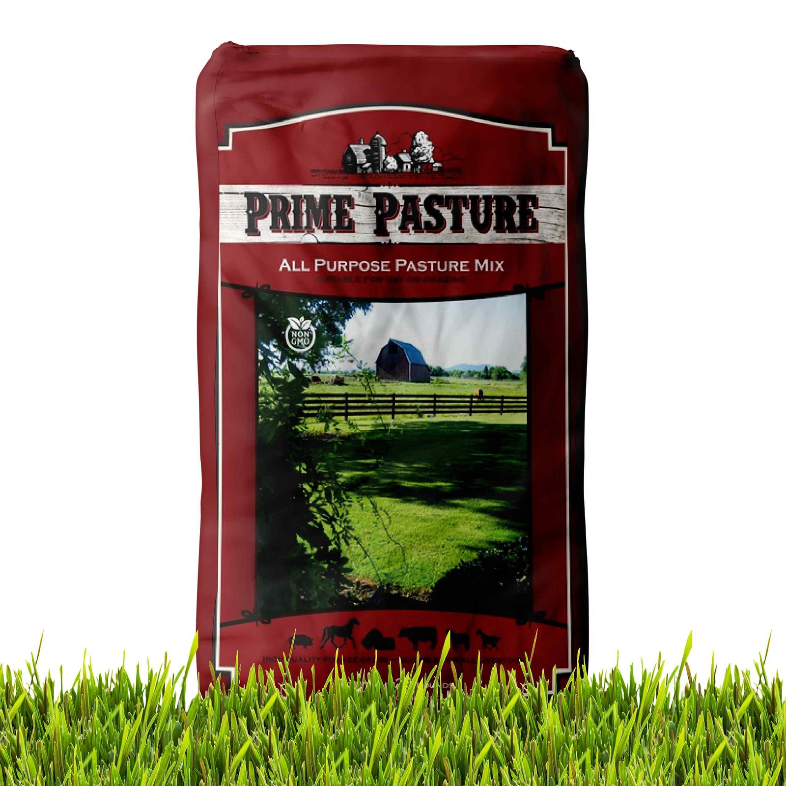 25 LBS All Purpose Pasture Seed Mix