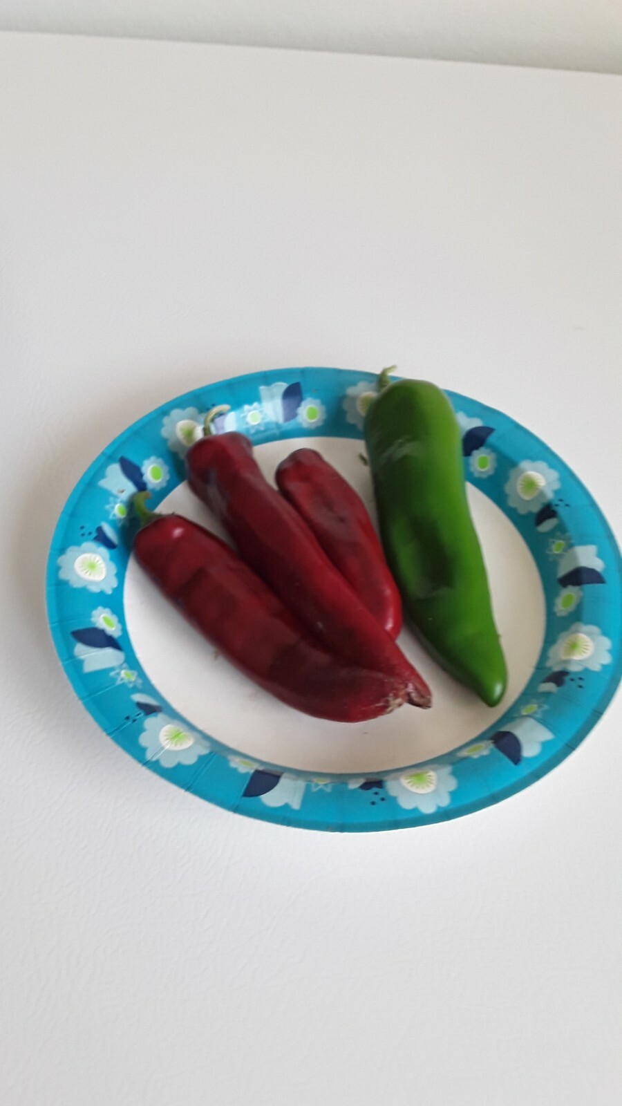 100 Anaheim Chili Pepper Seeds Hot Non-gmo Open Pollinated