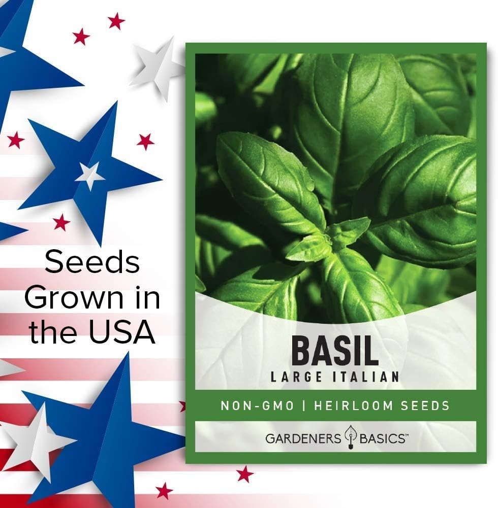 500mg Heirloom Large Leaf Basil Seeds – Grow Gourmet Herbs Indoors or Outdoors
