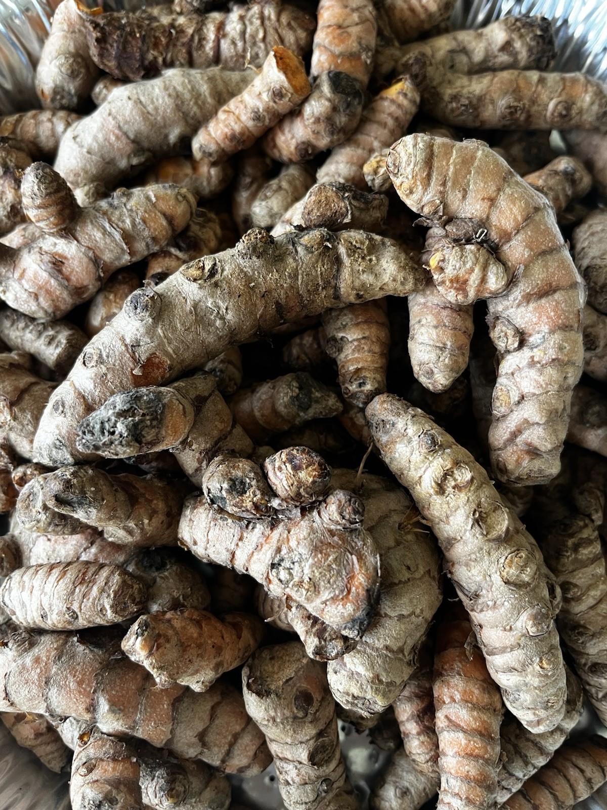 10 PCs Turmeric Roots Curcuma Longa Ready To Plant 3-4”-free shipping