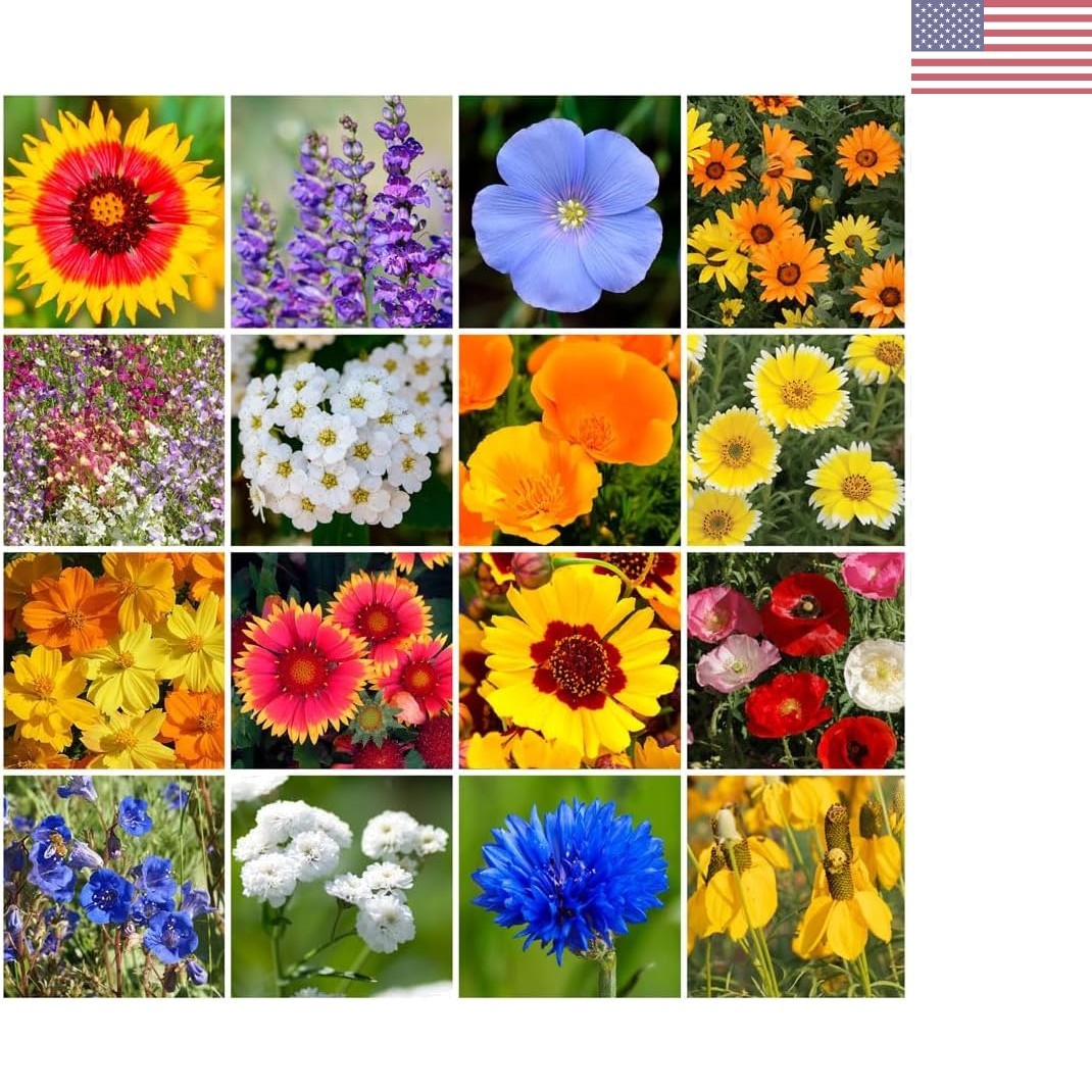 Annual & Perennial Wildflower Mix – 1/4 lb for Pollinators & Spring Blooms