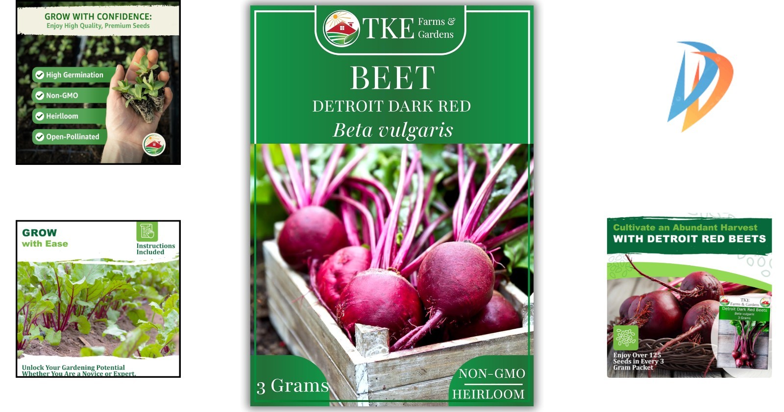 Easy-Care Detroit Dark Red Beet Seeds – 125+ Heirloom Non-GMO, Drought Tolerant