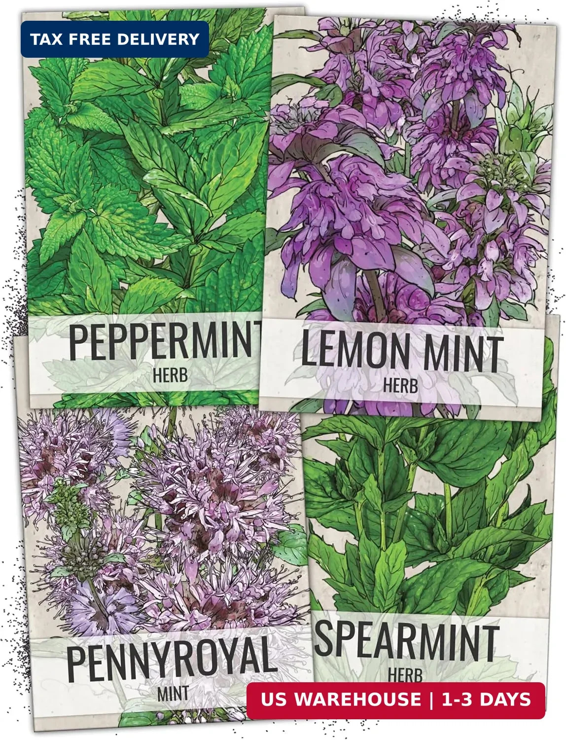 Seed Needs Mint Seeds for Planting Spearmint, Peppermint, Lemon Mint & Pennyroya