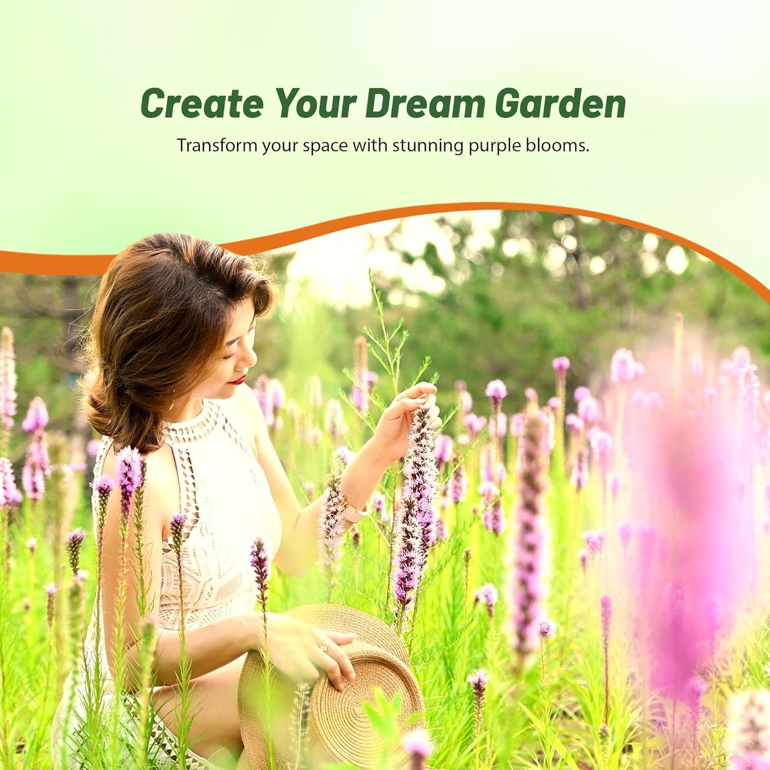 1000 Seeds Drought Resistant Gayfeather Liatris Spicata Wildflower Plant Seed