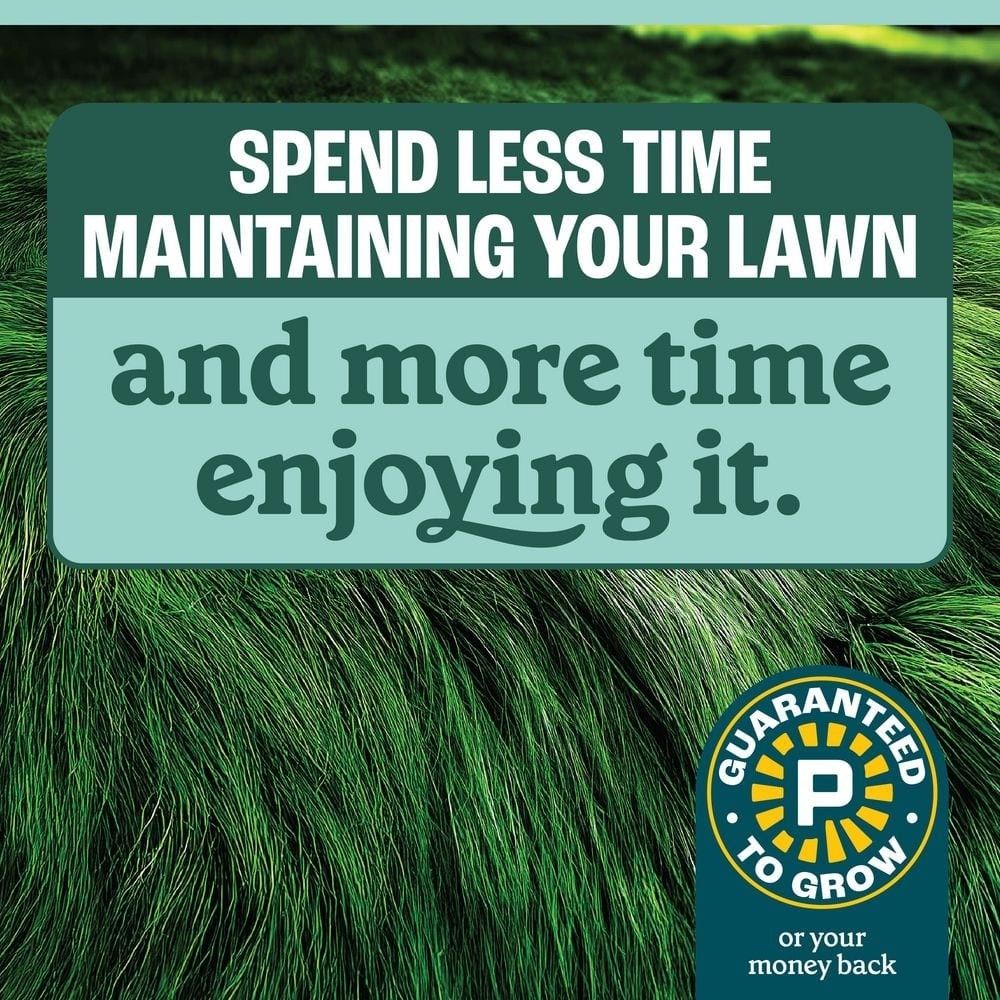 3 lbs. 750 sq. ft. No Mow Grass Seed Mix