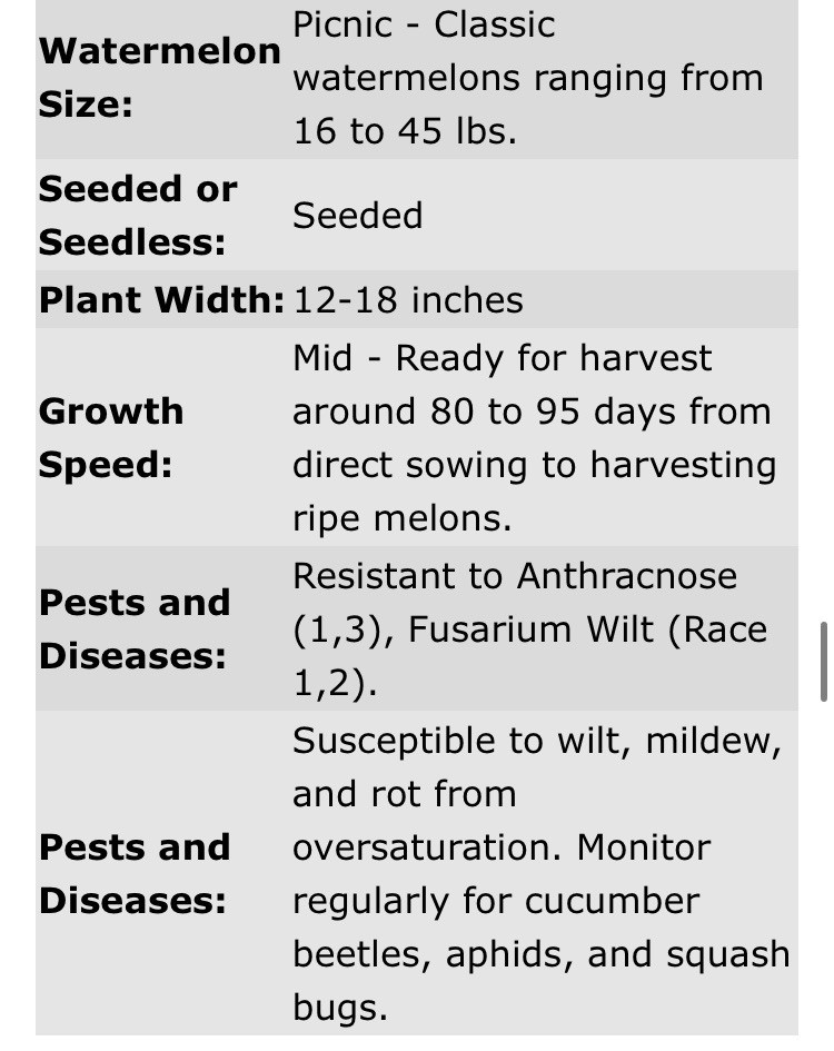 25lb Bag Of Organic Crimson Sweet Watermelon Seeds – 230,000+ Seeds – Non GMO