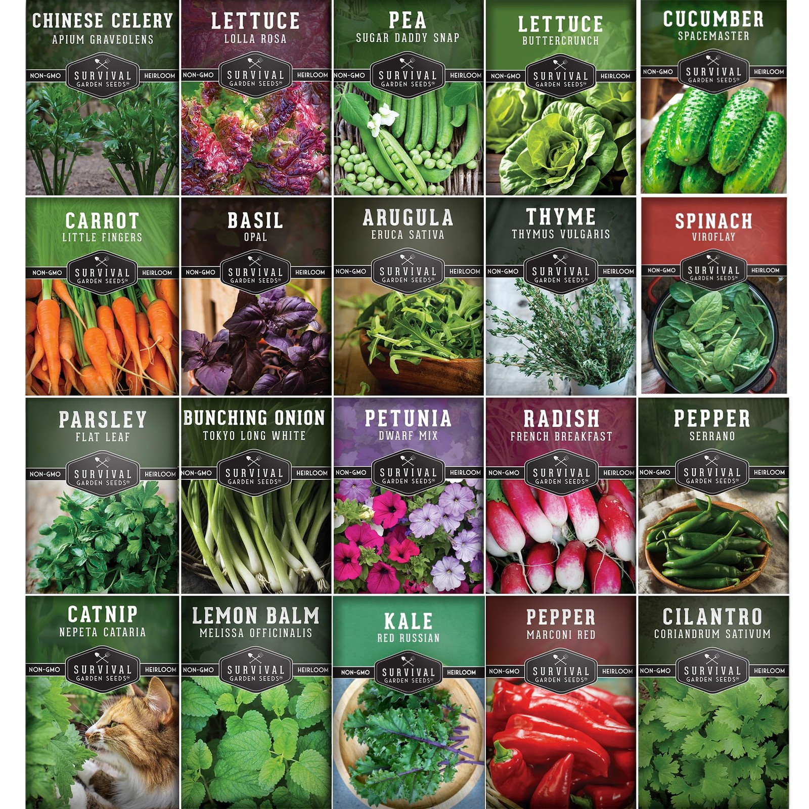 Hydroponic & Indoor Garden Seed Kit – 20 Compact Heirloom Vegetable & Herb Va…