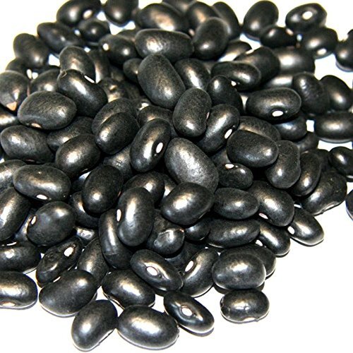Black Turtle Heirloom Bush Bean – Hardy Plants Grow to 18-24″ -Very Tasteful
