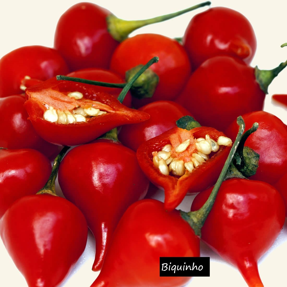 Heirloom Pepper Seeds – Many Unusual Varieties – One Shipping Charge