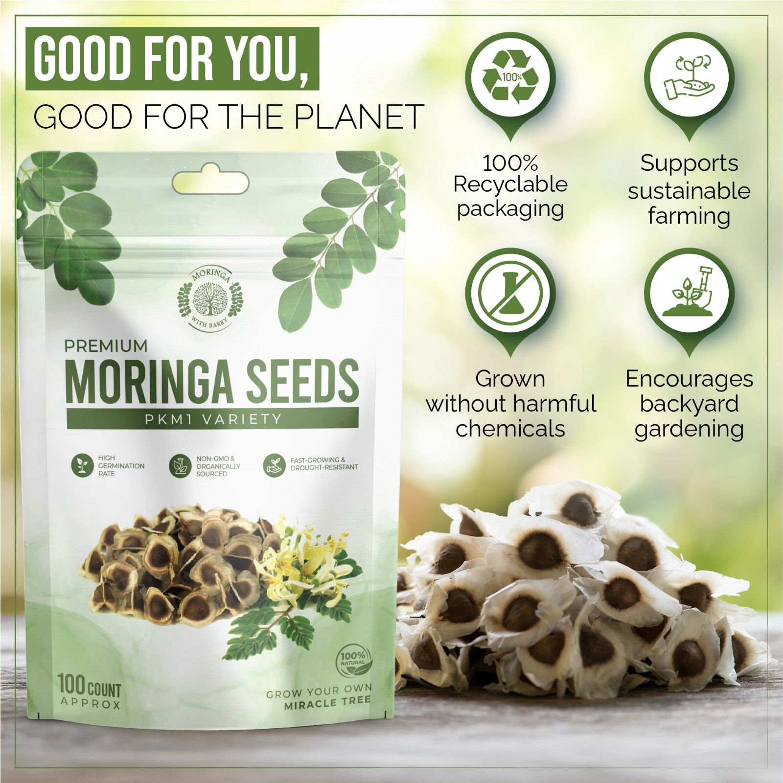 Moringa Seeds 100 Count High-quality NON-GMO Organically Grown Pkm1 Variety