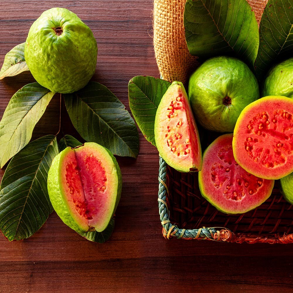 20 Lemon Apple Guava Tree Fruit Seeds ‘Ruby Supreme’ Plant (Psidium guajava)