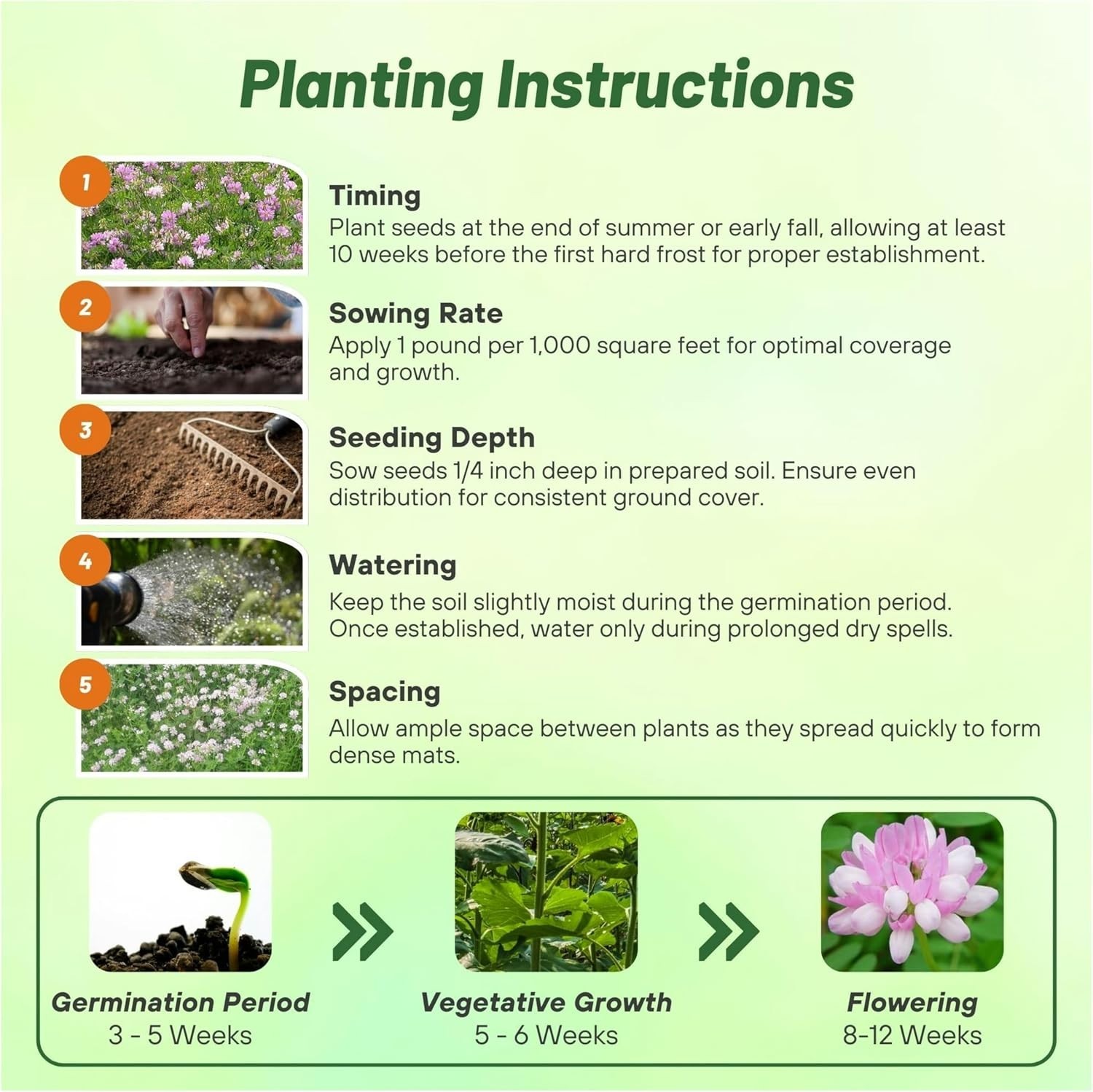 Versatile Crown Vetch Seeds – USDA Zone 4-10