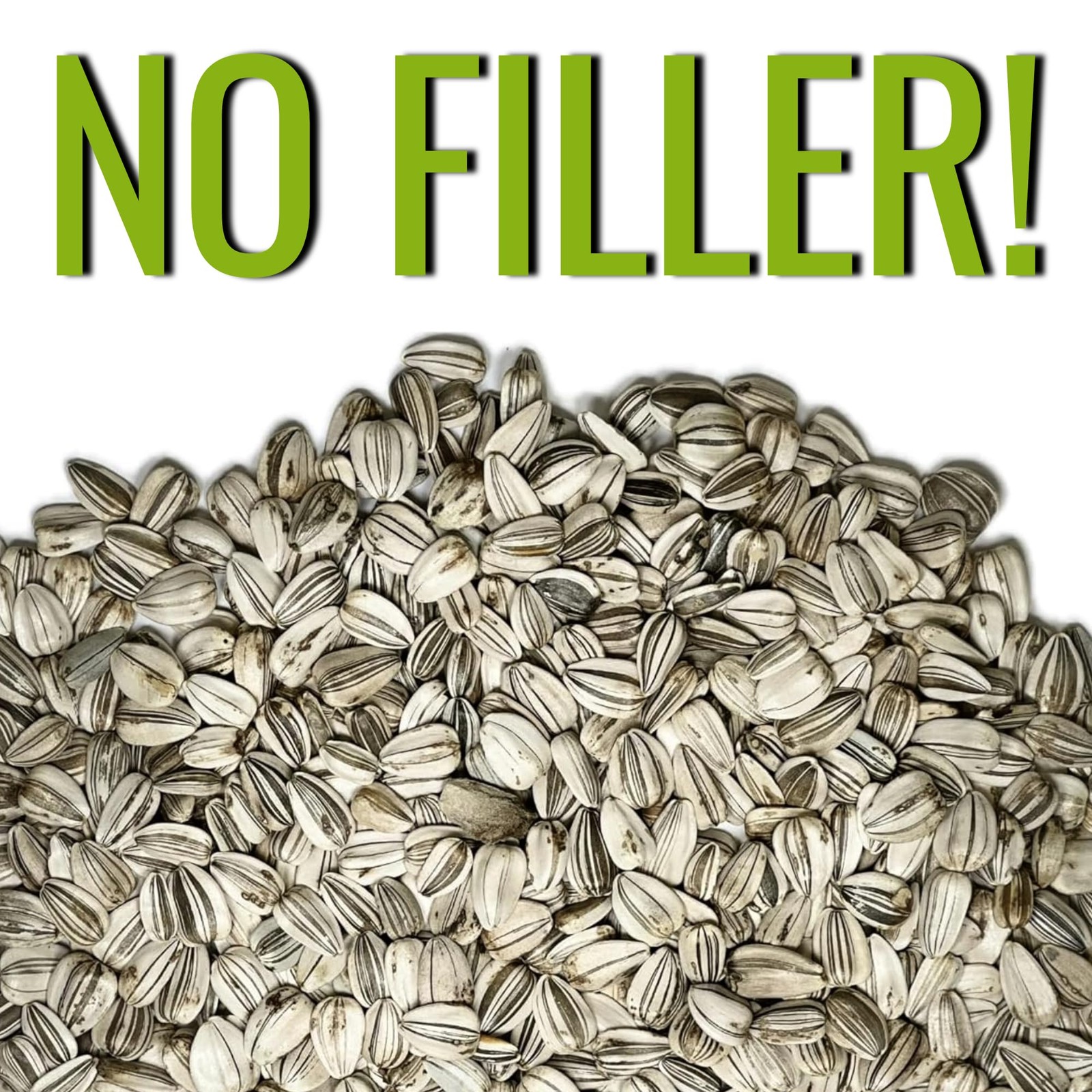 Needs Sunflower Seeds to Plant 600+ Mammoth Grey Stripe Seeds | Heirloom Heli…