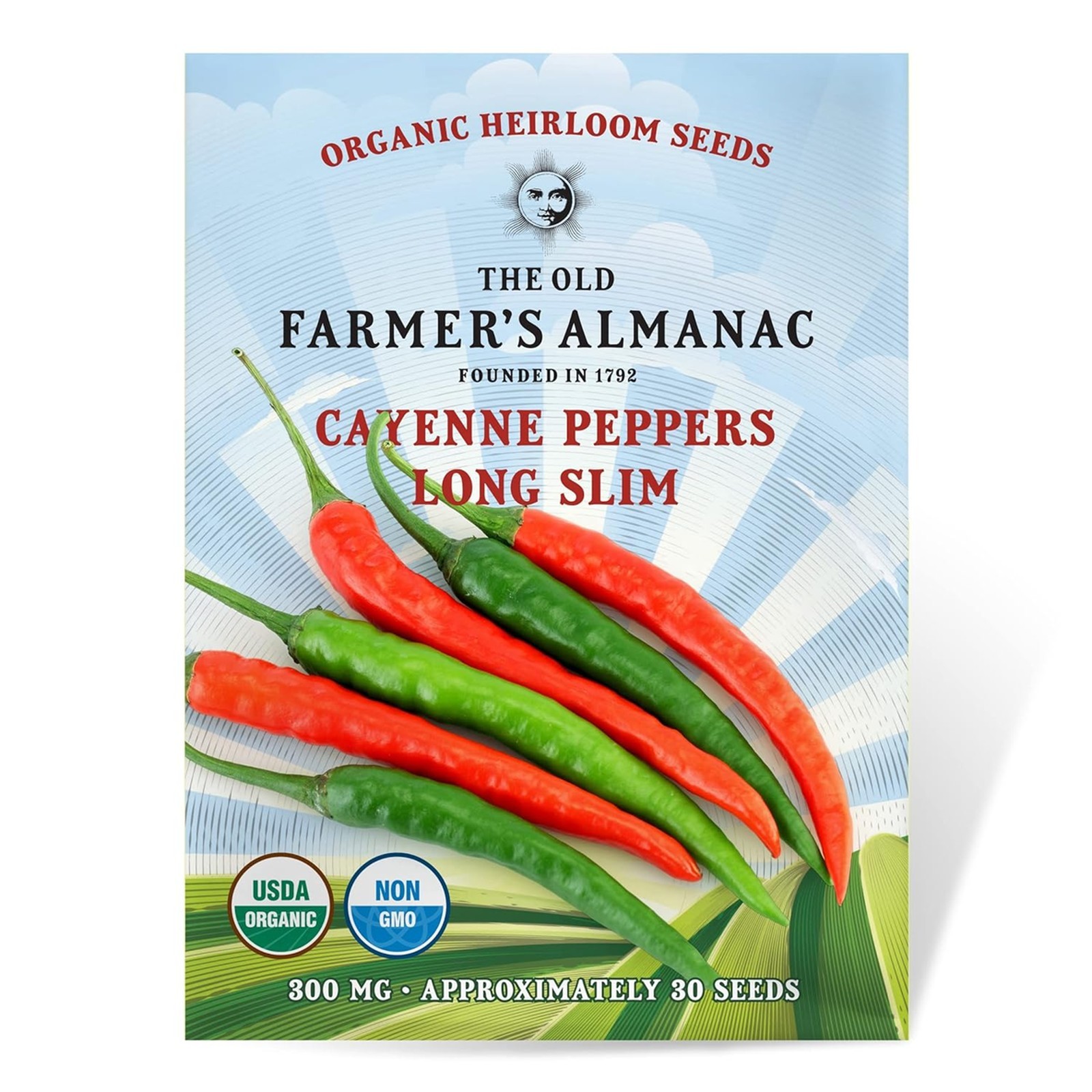 Organic Cayenne Pepper Seeds Long Slim Model, Heirloom, Open Pollinated