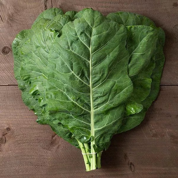 Champion Collard Seeds (60) / Easy / Soul Food / Non Gmo / Florida