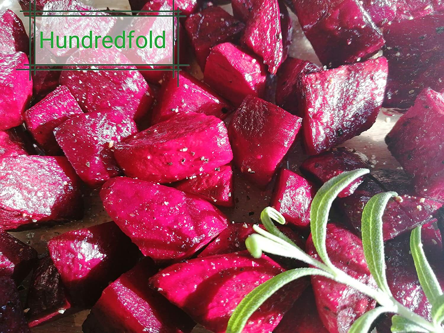 Organic Bull’s Blood Beet 200 Seeds – Beta vulgaris Non-GMO Bulls Blood Heirloom
