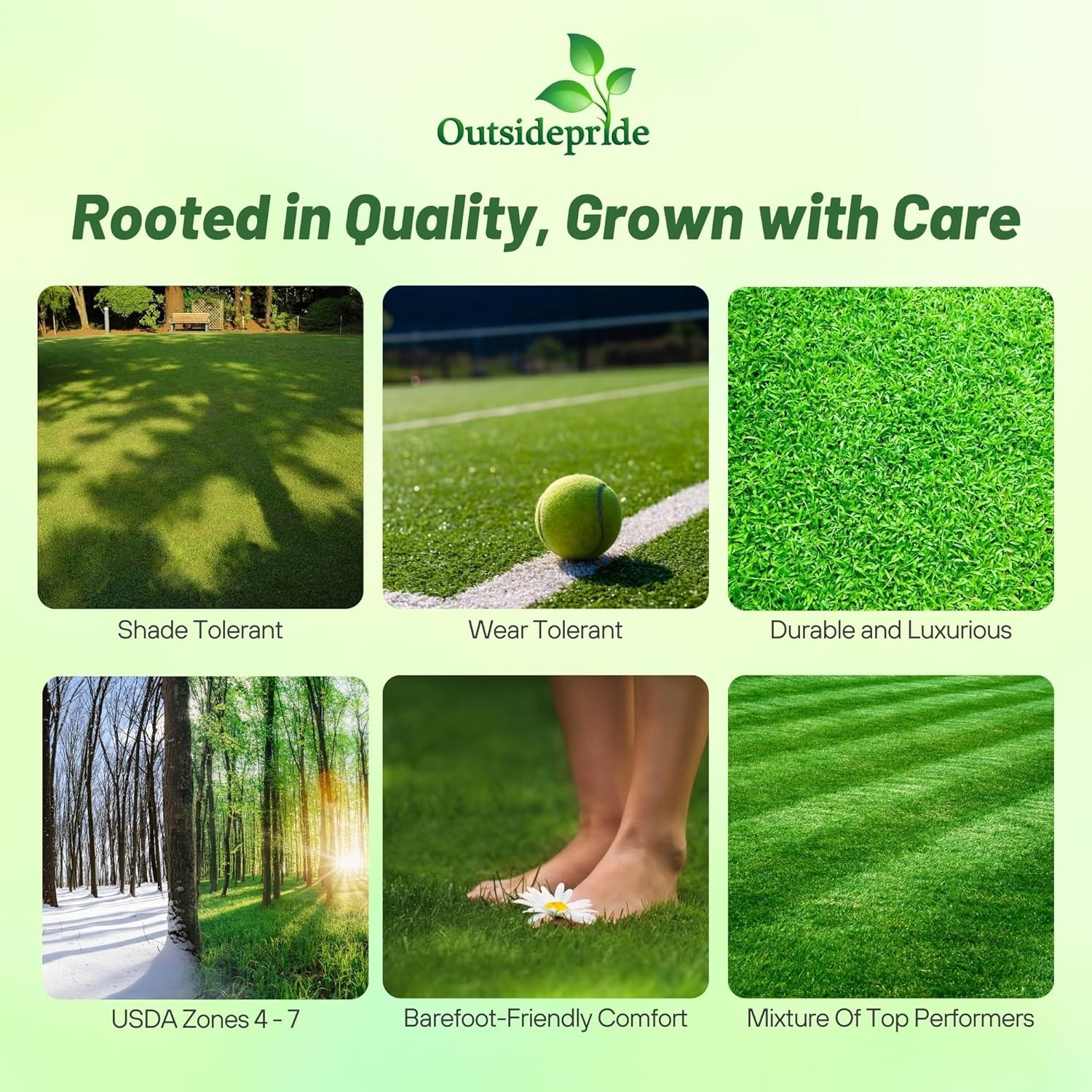 5 LBS – OptiGrowth Coated Showtime grass seed mix of fine fescue, Kentucky