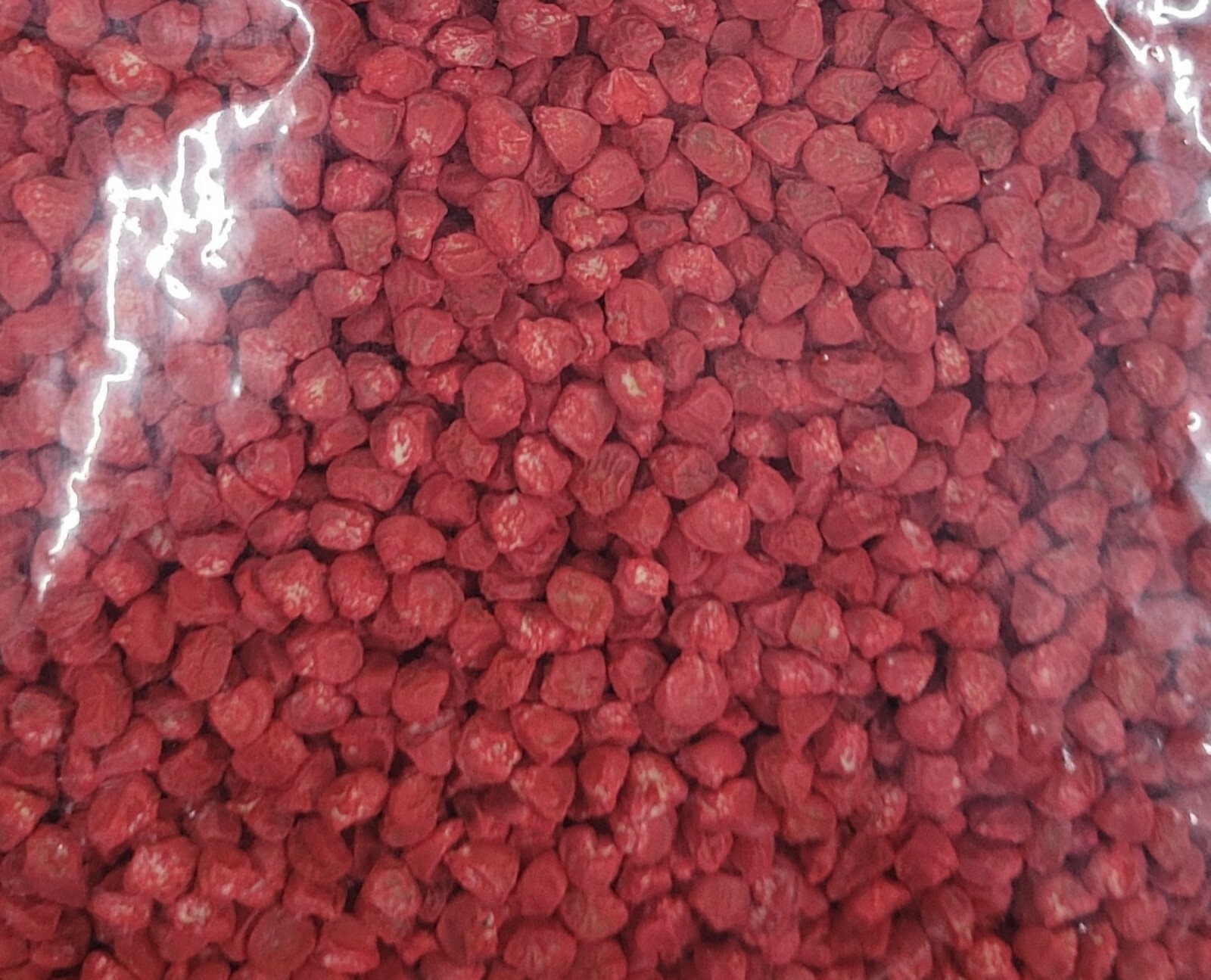 500 Count non-gmo Peaches and Cream Sweet Corn Seed