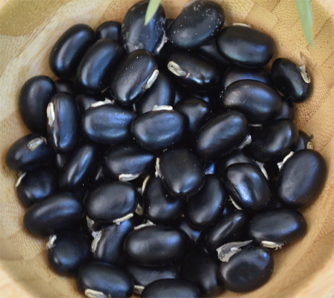 Organic Black Mucuna Pruriens Seeds, Velvet Bean Seeds, 20 + seeds