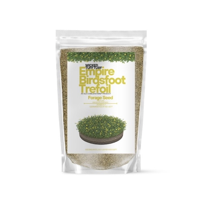 Old Cobblers Farm™ Wicked Tuff Turf Empire Birdsfoot Trefoil Seed – Green Forage