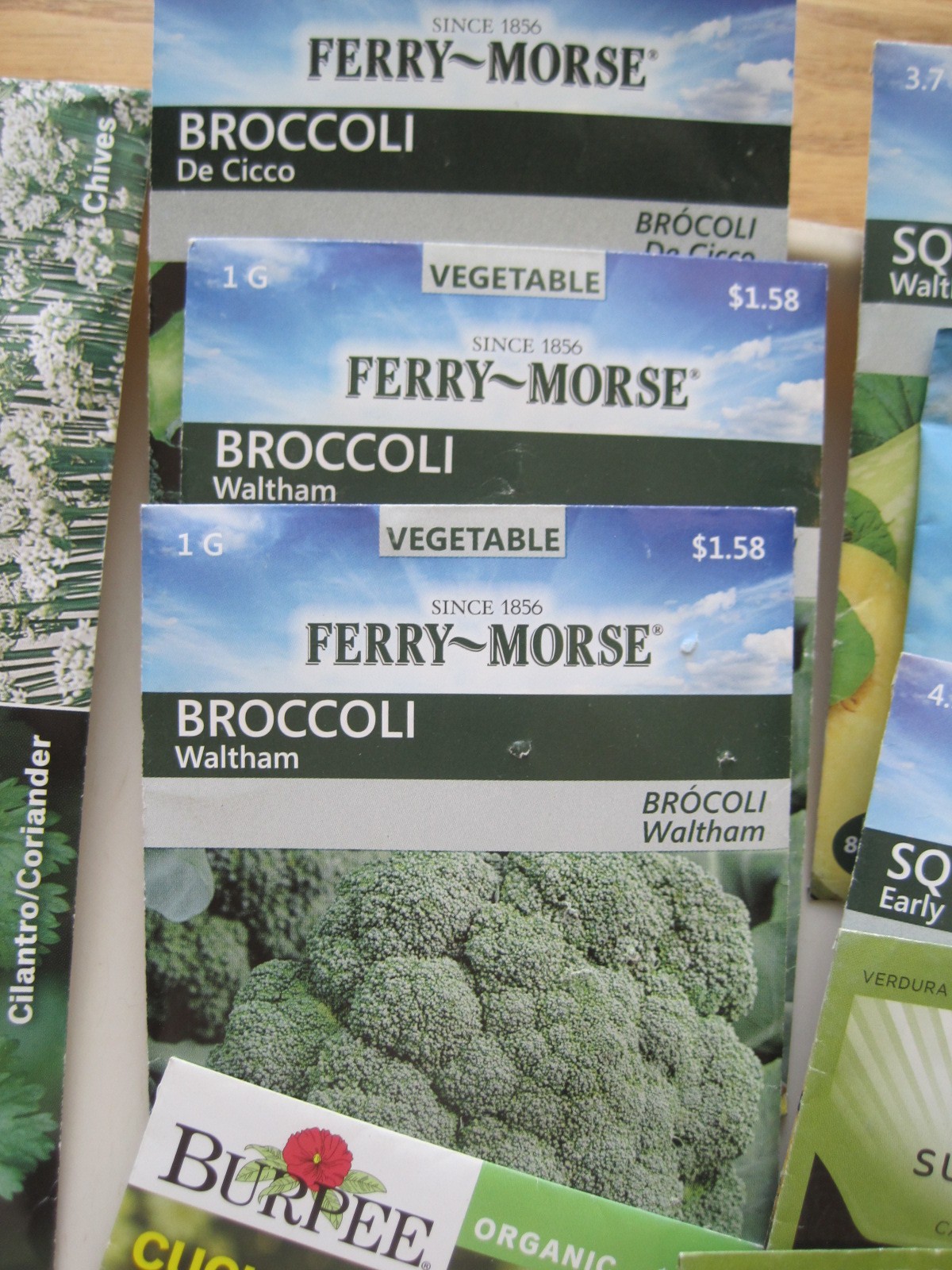 Large Lot 51 Sealed but Expired Vegetable Seeds Beans Greens Herbs Tomatoes ++