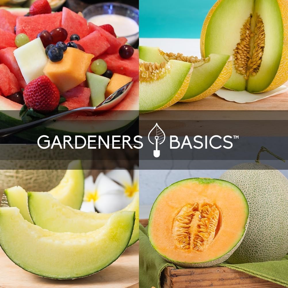 Melon Fruit Seeds for Planting Home Garden 5 Variety Packs – Hales Best Canta…