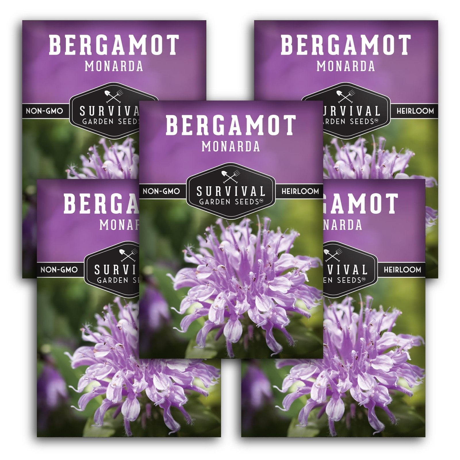 Bee Balm Seeds Wild Bergamot Perennial Native Flower Fragrant Medicinal 5 Packs