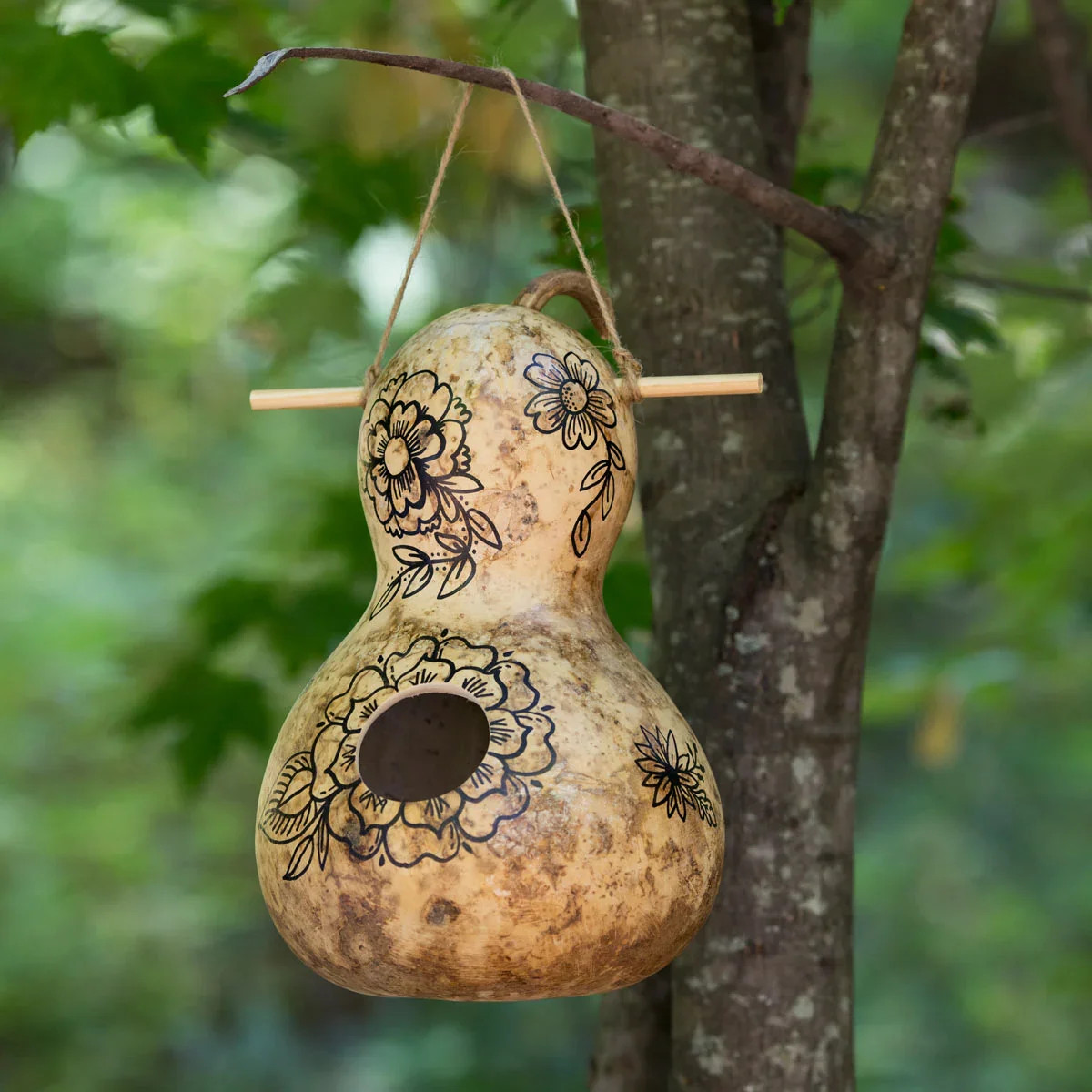 Birdhouse Gourd Seeds |USA Bird Bottle Calabash Chinese Asian Buddha Squash 2024