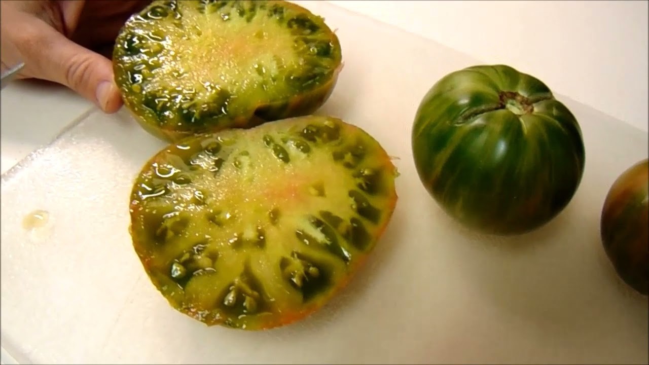 10 seeds Dwarf Peppermint Stripes Tomato ORGANIC Rare DTP