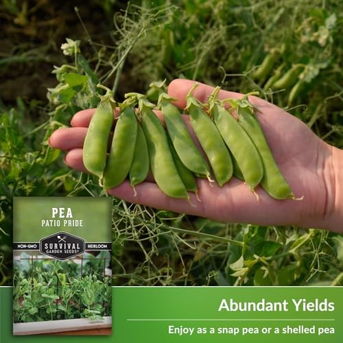 Patio Pride Pea Seeds for Planting – Compact Bush Peas for Container and 1