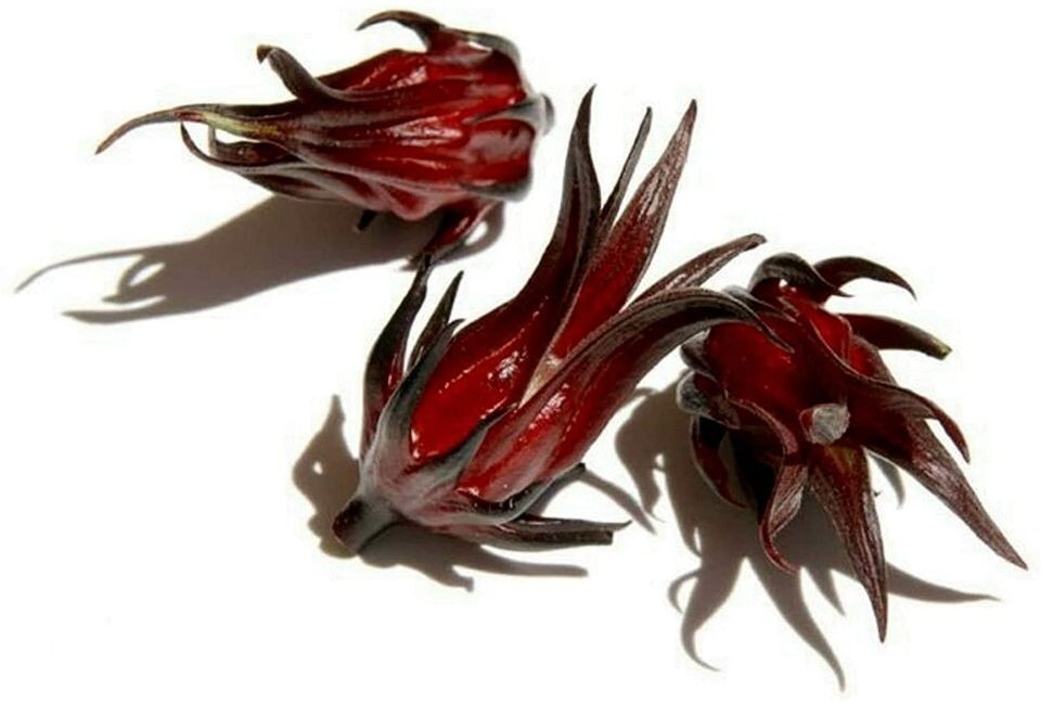 200 Roselle Seeds Asian Sour Leaf Hibiscus sabdariffa Free Shipping