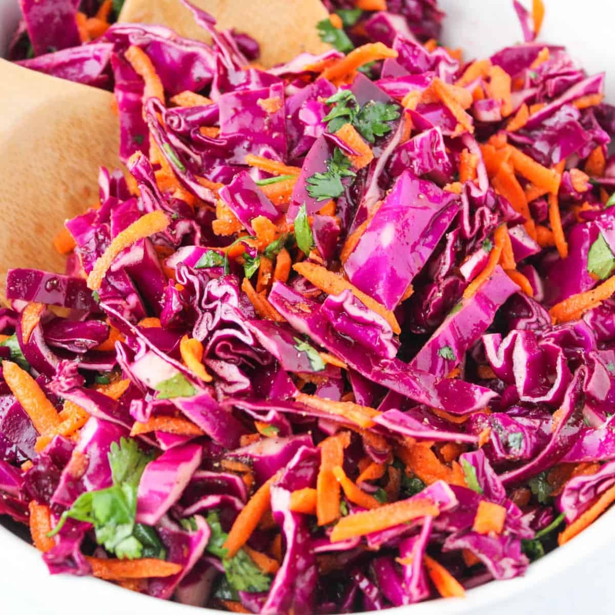 Red Acre Cabbage Seeds, NON-GMO, FREE SHIPPING