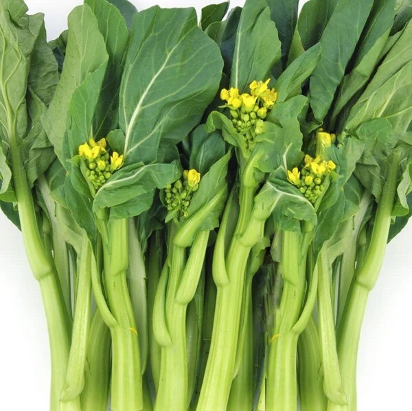 Yu Choy Sum Seeds, Early Flowering Brassica Greens, Heirloom, FREE SHIPPING