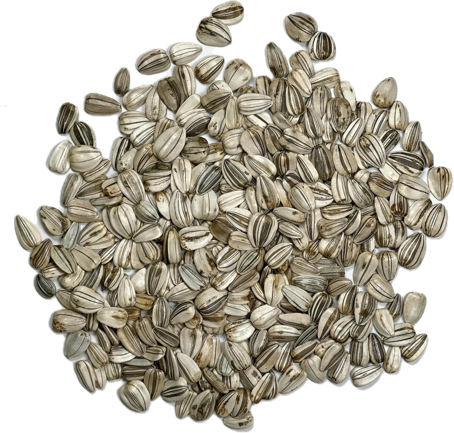 , 1 Ounce Mammoth Sunflower Seeds to Plant (Helianthus Annuus Grey Stripe) Re-Se