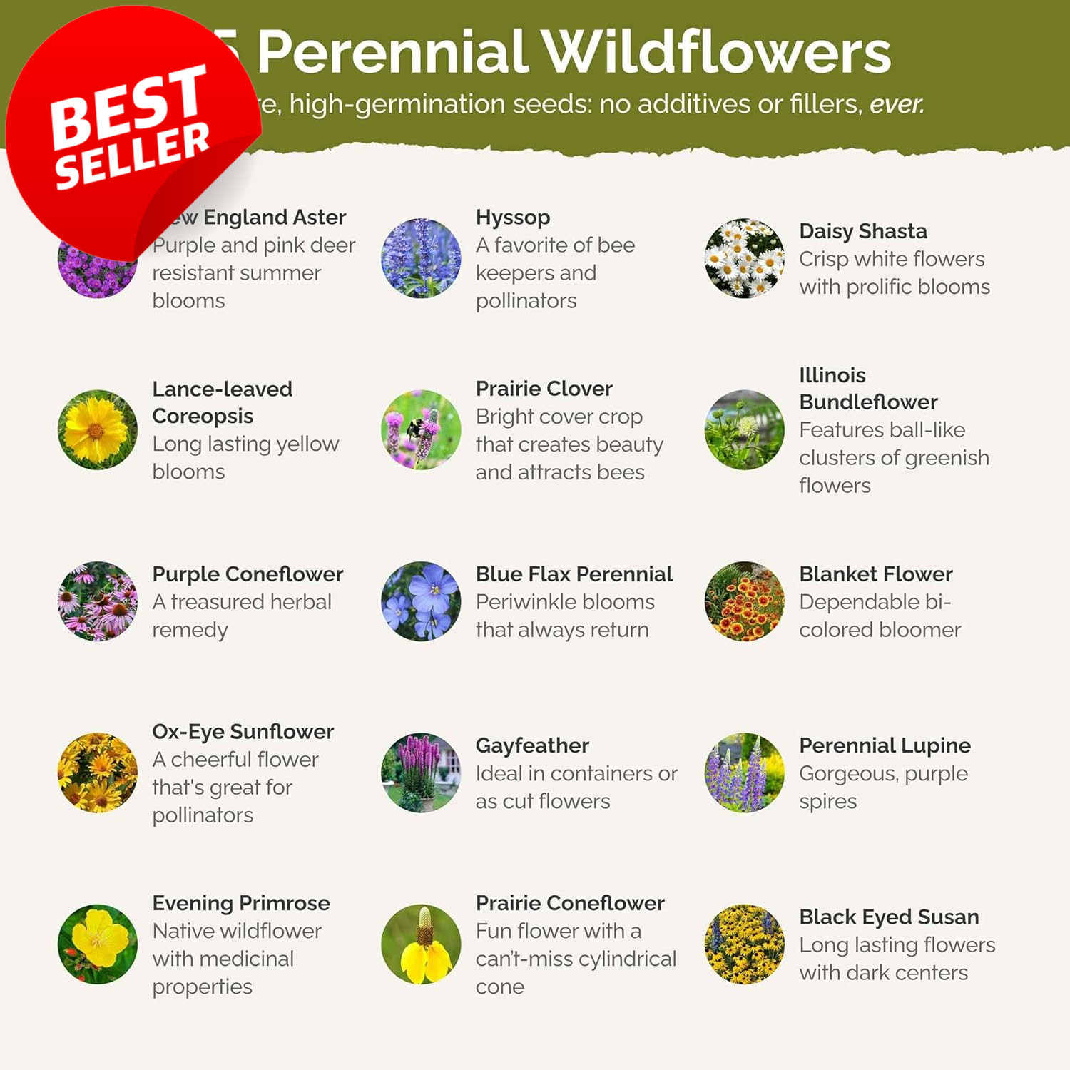 Midwest Perennial Wildflower Seeds Mix 1/4 lb 120K Pollinator Zones 3-10 – US