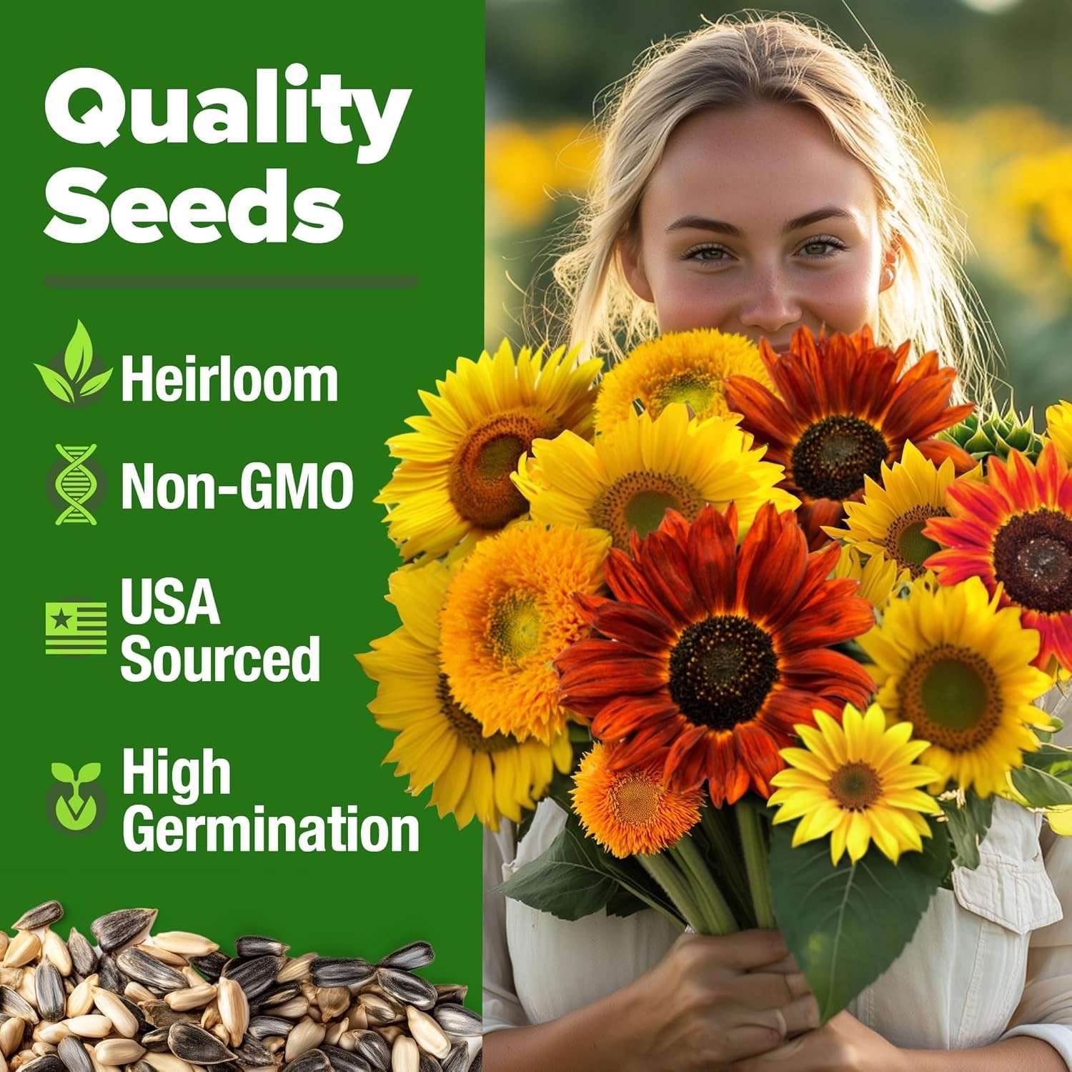 Multi Color Sunflower Seeds Mix Pack 1500 Plus Perfect for Eco Friendly Gardens
